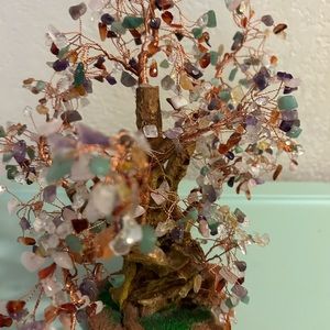 Bonsai jowled Tree